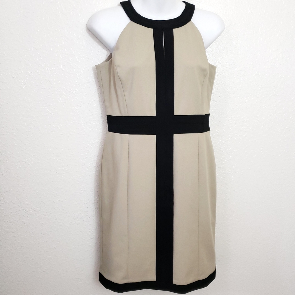 Ann Taylor Dress